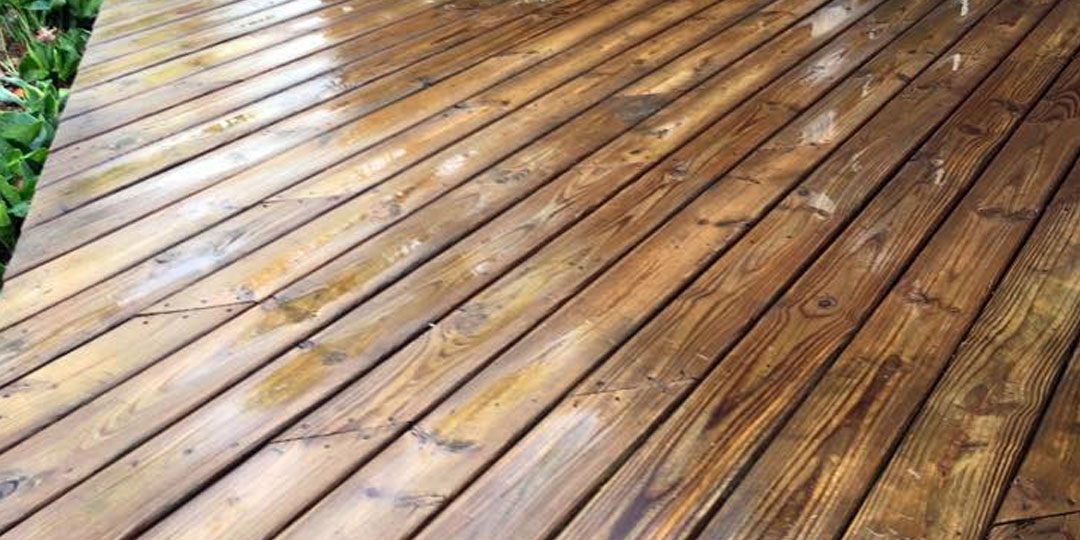 Deck/Fence Wash