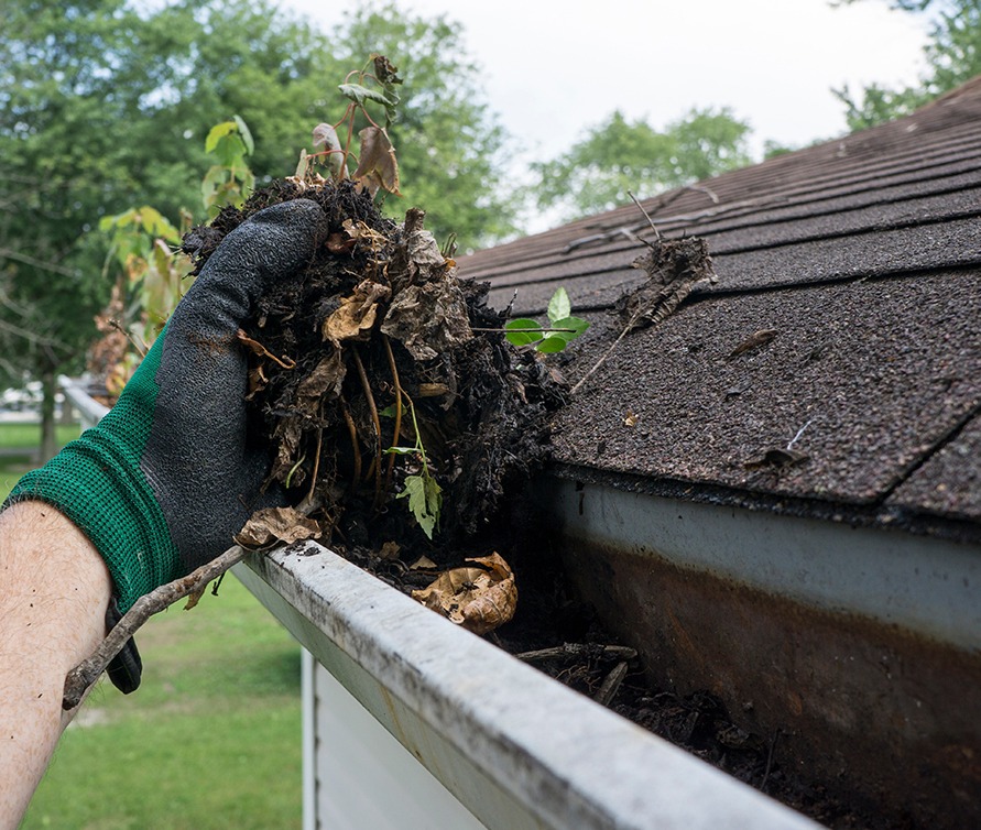 Gutter Cleaning by Elite Pressure Washing