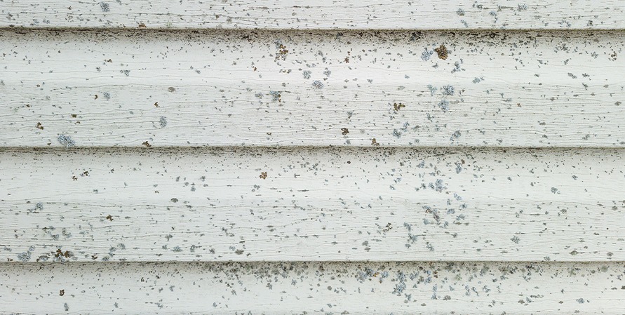 Pressure Washing 101 | Elite Pressure Washing