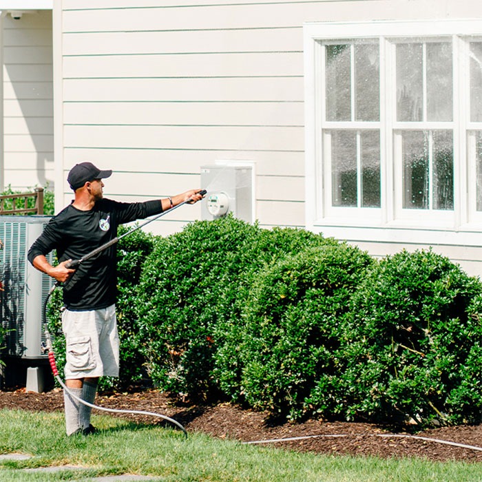 House Washing Services by Elite Pressure Washing